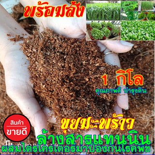 ขุยมะพร้าว ล้างสารเทนนิน 1 กิโลกรัม(ประมาณ5ลิตร) แบบแห้งเบา ขุยมะพร้าวละเอียด ใช้ผสมดินปลูก เพาะกล้าอย่างดี