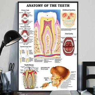 ภาพจิตรกรรมบนผ้าใบ ลายคลินิกทันตแพทย์ Anatomy of the Teeth สําหรับตกแต่งบ้าน