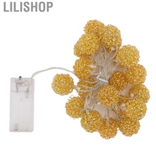 Lilishop Light String Innovative Iron Wire Round Ball String Lights  Operat