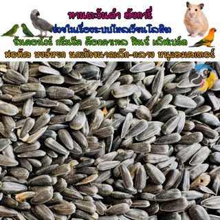 ทานตะวันดำ ฮังการี เม็ดเล็ก Black Sunflower Seeds เกรตAAA สำหรับนกแก้วทุกสายพันธุ์ สัตว์ฟันแทะ แบ่งขาย 500-1000กรัม