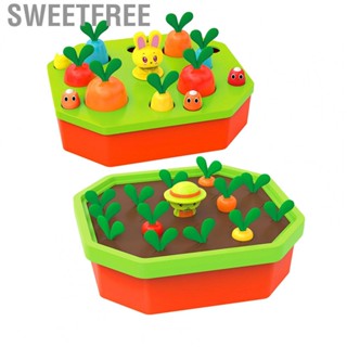 Sweetfree Carrot Harvest Game Toy  Skin Friendly Shape Color Sorting Matching for Home