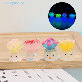 Tuilieyfish กระถางต้นไม้เรืองแสงในที่มืด ขนาดเล็ก สําหรับตกแต่งภูมิทัศน์ 1 ชิ้น