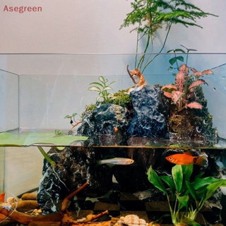 [Asegreen] ฟิกเกอร์เรซิ่น รูปปั้นแมว ขนาดเล็ก สําหรับตกแต่งบ้าน ตู้ปลา