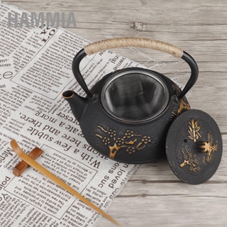 HAMMIA กาน้ำชาเหล็กหล่อ Southern Cast Iron Kettle Pot กาต้มน้ำชา 0.9L