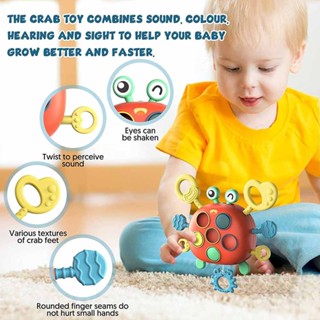 Toddler Montessori Toys for 1 Year Old Boys Girls Sensory Fine Motor Skills Toys