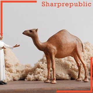 [Sharprepublic] โมเดลฟิกเกอร์ รูปอูฐ 1:64 สําหรับเก็บสะสม Diorama