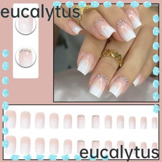 Eucalytus1 เล็บปลอม แบบกด DIY สไตล์ฝรั่งเศส