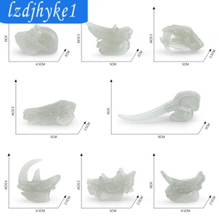 [Lzdjhyke1] ชุดโมเดลหัวกะโหลกไดโนเสาร์ ของเล่นเสริมการเรียนรู้ สําหรับเด็ก