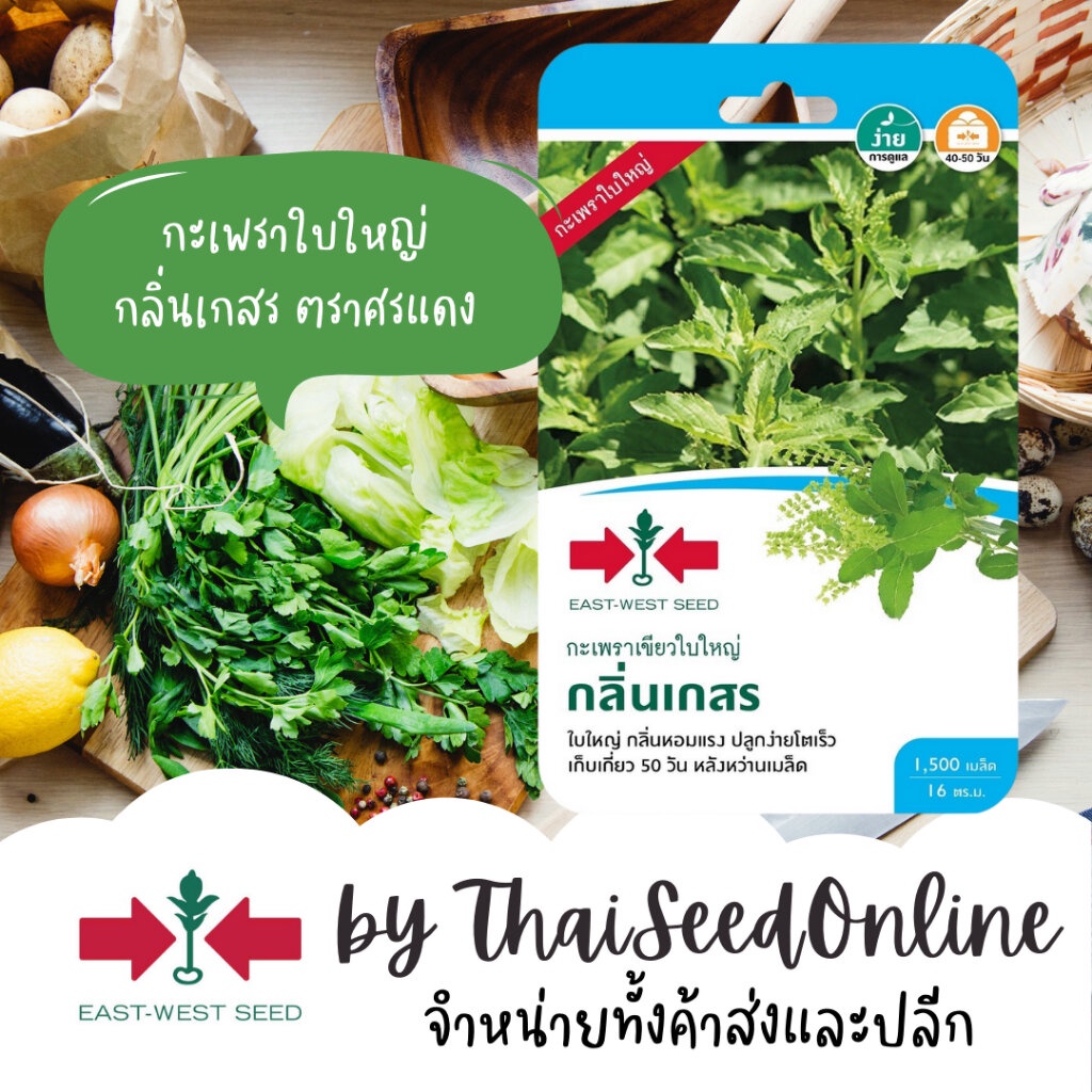 ตราศรแดง GGEW เมล็ดพันธุ์ซฟ กะเพรากลิ่นเกสร กะเพราเขียวใบใหญ่ 1500 เมล็ด ตราศรแดง Holy Basil – โปรปัง