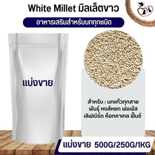 White millet มิลเล็ตขาว อาหารนก กระต่าย หนู กระต่าย กระรอก ชูก้า และสัตว์ฟันแทะ (แบ่งขาย 250G / 500G / 1KG)