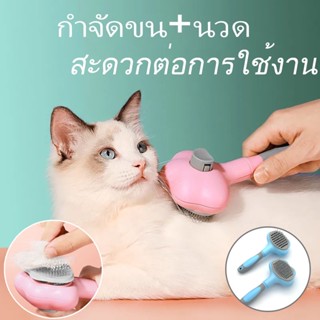 พร้อมส่ง หวีแปรงขนสัตว์