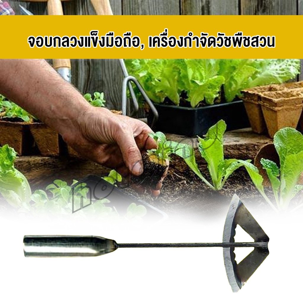 HD จอบถางหญ้าในแปลงผัก ส่วนหย่อม จอบพรวนดิน จอบมินิ รูปที่ 4