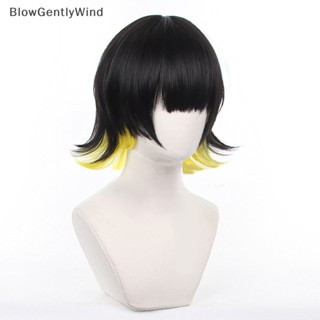 Blowgentlywind วิกผมคอสเพลย์ อะนิเมะ Bachira Meguru ทนความร้อน สําหรับผู้ชาย