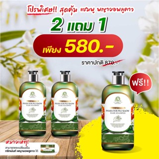 🌿โปร2แถม1 แชมพูพญายอ 🌱 Cream ยาทาแก้ผื่นคัน น้ำเหลืองไม่ดี ขาลาย ครีมสมุนไพรแท้ 💯โปร2แถม1