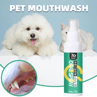 Pet Dental Oral Spray for Dogs Cats Breath Freshener Teeth Cleaner 50ml