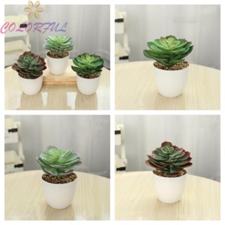 【COLORFUL】Artificial Plants Office Potted Small Succulent Tree Pot Bohemian Style