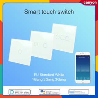 Eu Standard Wifi Smart Touch Switch 1/2/3 Gang รีโมทคอนโทรล Timer Switch หลายสถานการณ์ Application Smart Speaker Voice Control canyon