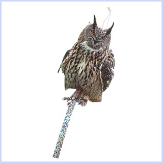 Scare Birds Away Owl Decoration 2D Keep Birds Away Tool Bird Control Fake Owl for Garden Owls Decor Squirrels Birds cingth