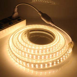 แถบไฟ LED สำหรับเพดาน10/15/20/30เมตร EU ปลั๊ก LED Strip สองแถว2835 220V ยืดหยุ่นแถบไฟ120 led/m กันน้ำเทป LED โคมไฟสูงสีข