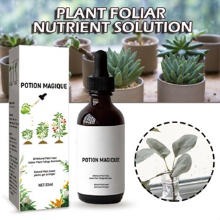 All Purpose Indoor Plant Liquid Food Nutrient Fertilizer for Indoor Potted Plant