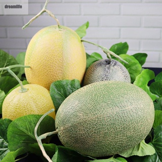 【DREAMLIFE】Gorgeous Artificial Hami Melon Fruit for Kindergarten Cognitive Models