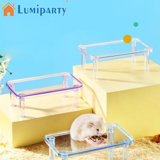 Lumiparty ของเล่นแพลตฟอร์ม อเนกประสงค์ สําหรับสัตว์เลี้ยง หนูแฮมสเตอร์ ชินชิล่า หมีสีทอง