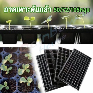 Rainbow ถาดเพาะต้นกล้า  ถาดเพาะชำ ถาดเพาะเมล็ด ใช้ซ้ำได้ Seedling Tray