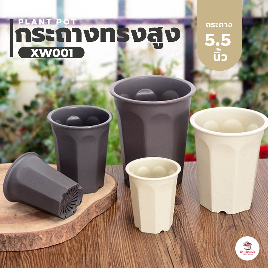 [ XW-001 ] กระถางทรงสูง 5.5 นิ้ว กระถางพลาสติก แคคตัส กระบองเพชร ไม้อวบน้ำ Cactus&Succulent