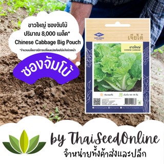 เมล็ดพันธุ์ ผักกาด ขาวใหญ่ 8,000 เมล็ด ซองจัมโบ้ ตราเจียไต๋ Chinese Cabbage