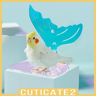 [Cuticate2] แพลตฟอร์มอะคริลิค สําหรับนกแก้ว