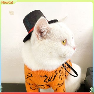 {Newcat} หมวกผ้าไม่ทอ สําหรับสัตว์เลี้ยง แมว