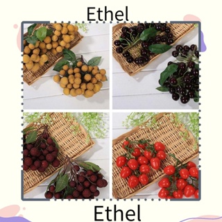 Ethel1 ผลไม้ประดิษฐ์ กิ่งไม้ ของขวัญ ตกแต่งบ้าน พร็อพถ่ายรูป ลําไย มะเขือเทศ ทับทิม