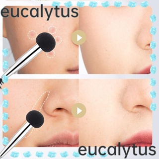 Eucalytus1 ฟองน้ําแต่งหน้า แบบสองหัว สําหรับผู้หญิง 10 ชิ้น