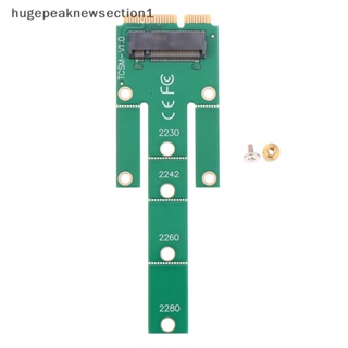 Hugepeaknewsection1 อะแดปเตอร์แปลงการ์ด SSD M.2 NGFF เป็น Msata B KEY Protocol M.2 NGFF เป็น Msata Nice