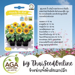 AGAPREMIUM ทานตะวัน บิ๊กสไมล์ 10เมล็ด ตราเอกะอะโกร Sunflower Big Smile