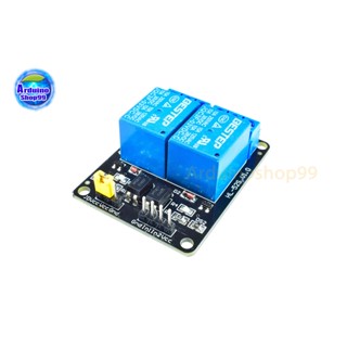 3Vdc Relay Module (2 Channel)