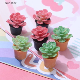 Sunstar โมเดลบ้านตุ๊กตา ขนาดเล็ก 2 ชิ้น