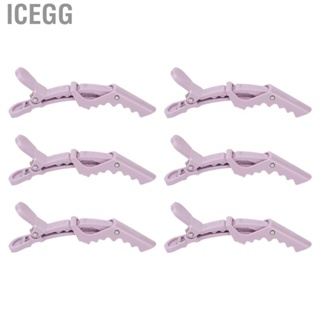 Icegg Sectioning Hair Clips  Hair Styling Clips Strong Grip High Elasticity Spring  for Salon
