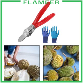 [Flameer] คลิปทุเรียน และถุงมือทุเรียน ช่วยประหยัดแรงงาน