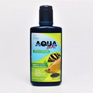 AQUA BAC สำหรับกลุ่มปลา มังกร เสือตอ และกระเบน