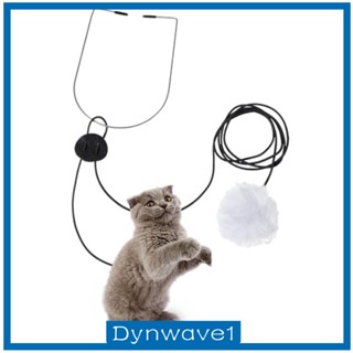 [Dynwave1] ของเล่นตุ๊กตาแมว แบบแขวนประตู ยืดหดได้ สําหรับออกกําลังกาย เต้นรํา ในร่ม