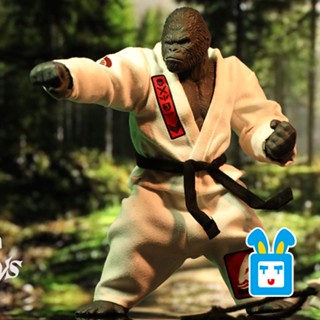 ใหม่ [พร้อมส่ง] ฟิกเกอร์ MEMORY TOYS MR.G Karate Judo Orangutan 1/12 ขยับได้ 4684