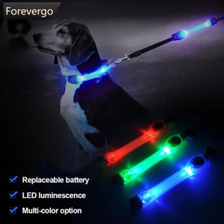 Forevergo ปลอกคอไฟกระพริบ LED กันน้ํา ป้องกันการสูญหาย สําหรับสัตว์เลี้ยง สุนัข L6Y7