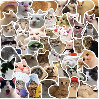 Standhappy ใหม่ สติกเกอร์ ลายกราฟฟิตี้แมว MEME Animals สําหรับตกแต่งโน้ตบุ๊ก แล็ปท็อป 50 ชิ้น