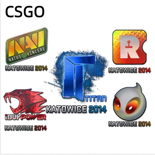 csgo game holographic sticker LGB vox G2 katowice TT navi faze tyloo ldlc niko s1mple team logo sign