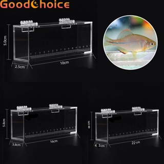 【Good】Fish Viewing Box High Clear With Scale Fish Box Fish Tank For Bitterling Gobies【Ready Stock】