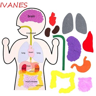 Ivanes สติกเกอร์ผ้าไม่ทอ แฮนด์เมด DIY ของเล่นเสริมการเรียนรู้เด็ก