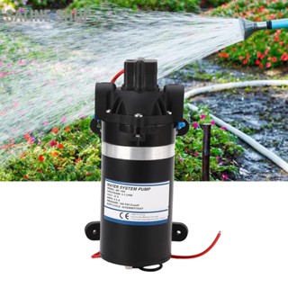 SaTine Shop 160PSI ไดอะแฟรมแรงดันสูงปั๊มน้ำบูสเตอร์ปั๊ม 5.1LPM 3 Meter Discharge Lift DC12V