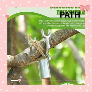 Path ไม้ค้ําต้นไม้ กิ่งไม้ โลหะ สีเงิน ทนทาน สําหรับสวน 5 ชิ้น