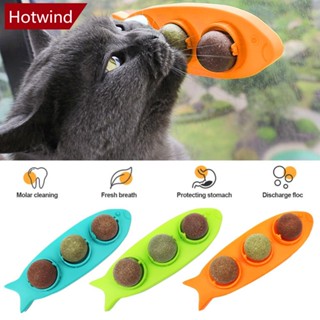 Hotwind ลูกบอลแคทนิป 3 In 1 ของเล่น สําหรับแมว W4Y9